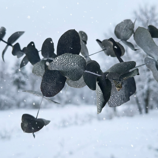 When You Love Someone You Can't Talk About